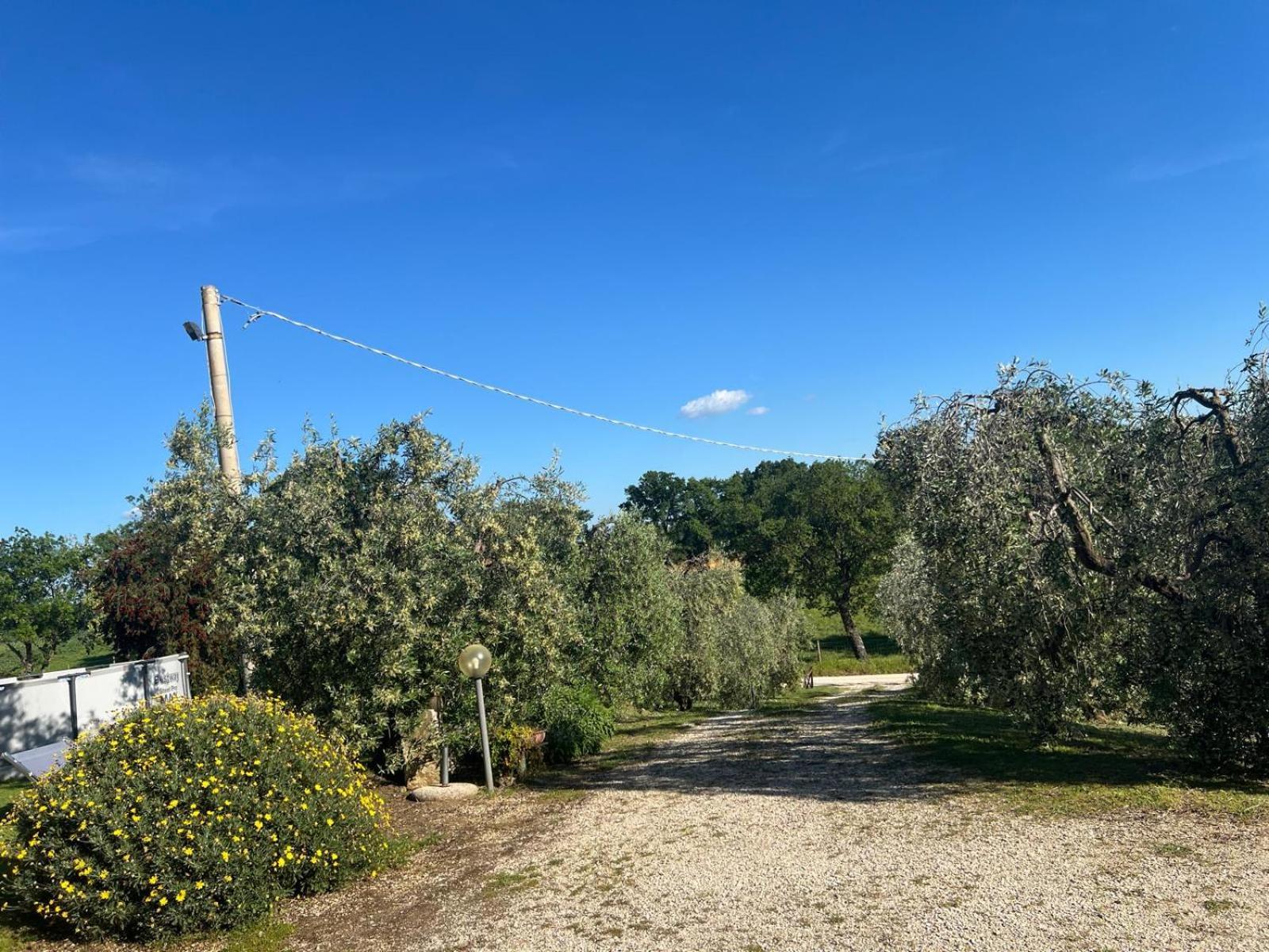 סטורניה Agriturismo La Castellina מראה חיצוני תמונה